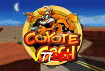 A Experiência Imersiva dos Cassinos Ao Vivo no V77Bet